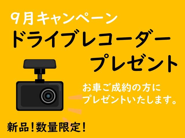 スティングレーX フルセグHDDナビ 新品シートカバー(16枚目)
