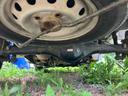 　４ＷＤ　軽トラック　ＭＴ　エアコン　運転席エアバッグ（26枚目）