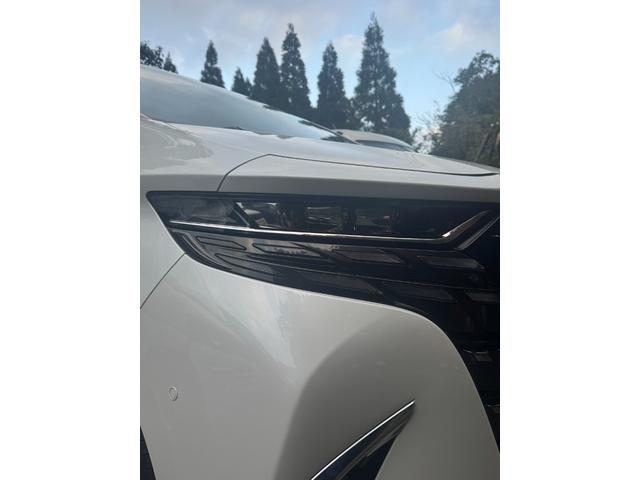 アルファードハイブリッド Z ワンオーナー車、車庫保管、全面コーティング済み、HV、デジタルインナーミラー、ドラレコ、全周囲、ムーンルーフ、本革シート、パワーバッグドア、14型ナビ、アドバンスパーク、エアロ、カスタム可。(20枚目)