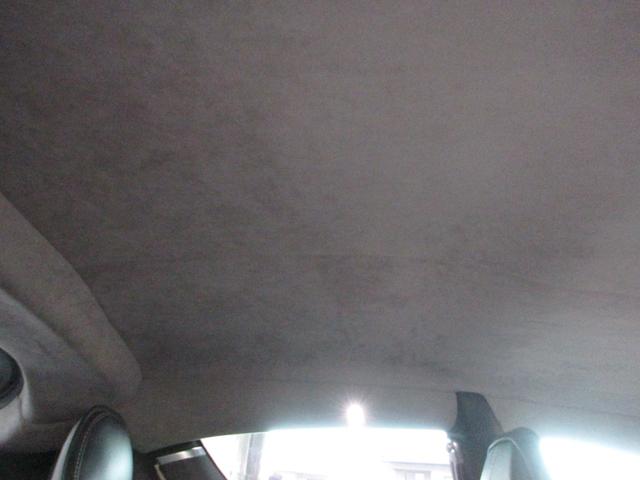 ラピード (34枚目)