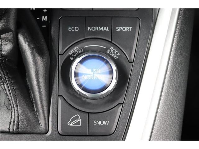 ＲＡＶ４ アドベンチャー　１年保証　ワンオーナ　電動リヤゲート　シートクーラー　４ＷＤ　フルセグ　メモリーナビ　ＤＶＤ再生　ミュージックプレイヤー接続可　バックカメラ　衝突被害軽減システム　ＥＴＣ　ドラレコ　ＬＥＤヘッドランプ（24枚目）