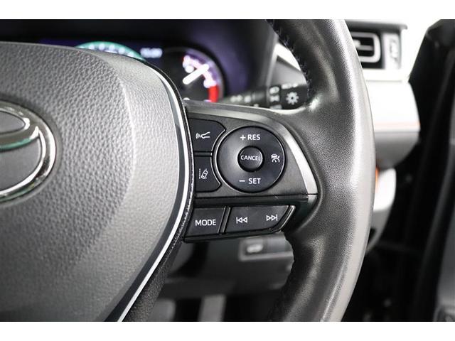 ＲＡＶ４ アドベンチャー　１年保証　ワンオーナ　電動リヤゲート　シートクーラー　４ＷＤ　フルセグ　メモリーナビ　ＤＶＤ再生　ミュージックプレイヤー接続可　バックカメラ　衝突被害軽減システム　ＥＴＣ　ドラレコ　ＬＥＤヘッドランプ（31枚目）