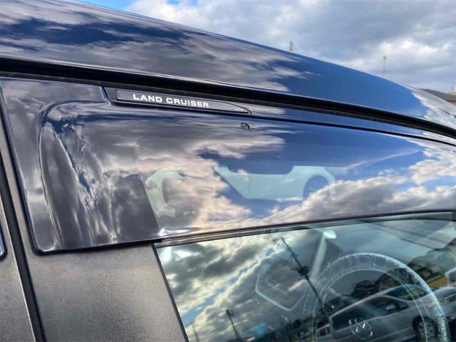 ランドクルーザー ZX 4WD ドライブレコーダー バックカメラ クリアランスソナー オートクルーズコントロール パワーシート 衝突被害軽減システム サンルーフ ナビ オートマチックハイビーム LEDヘッドランプ(46枚目)
