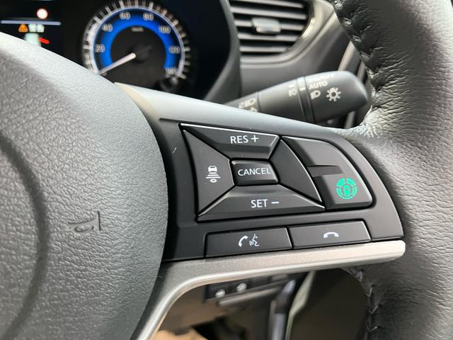 デリカミニ (10枚目)