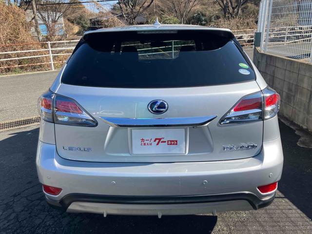 �[�Ԍ���C�����悭����蒸���܂��I�I