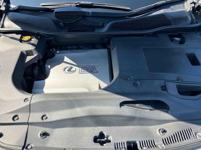 �����x�A���Ԃ��䗗���������B