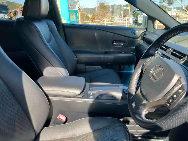 �[�Ԍ���C�����悭����蒸���܂��I�I