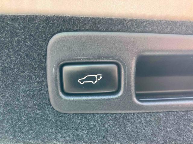 ���������܂��Đ��ɗL��������܂��I�I���񂲗��X���Ē����A���ۂɂ����ɂȂ��Ē�����΂Ǝv���܂��B���q�l����̂��A�����X�^�b�t�ꓯ�A�S��肨�҂����Ă���܂�