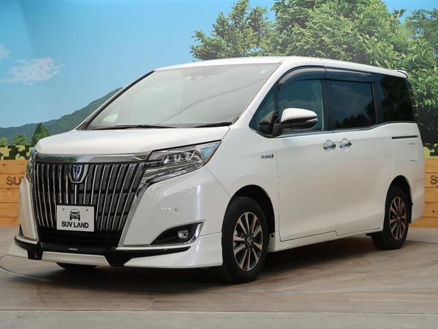 ハイブリッドGi プレミアムパッケージ BIGX9型ナビ フリップダウンモニター TRDエアロ 両側電動ドア セーフティセンス 衝突軽減ブレーキ ハーフレザー/シートヒーター コーナーセンサー 禁煙車 ドラレコ クルコン LEDヘッド(21枚目)