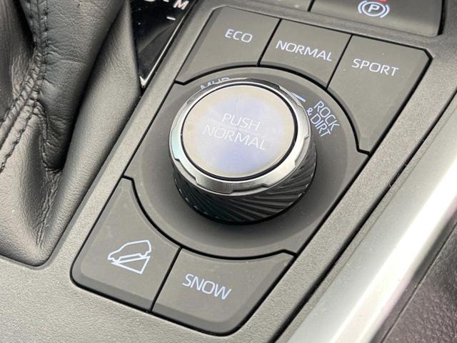 アドベンチャー 禁煙車 オプション純正9型ナビ バックカメラ Bluetooth接続 衝突軽減 レーダークルーズ 黒革シート パワーシート パワーバックドア コーナーセンサー オートハイビーム 純正19AW ETC(49枚目)