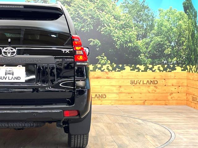 TX Lパッケージ マットブラックエディション 7人乗り 登録済未使用車 サンルーフ 特別仕様車 ブラックルーフレール 専用マットブラック塗装18AW セーフティセンス レーダークルーズ パーキングサポートブレーキ レーンキープ 現行型(28枚目)