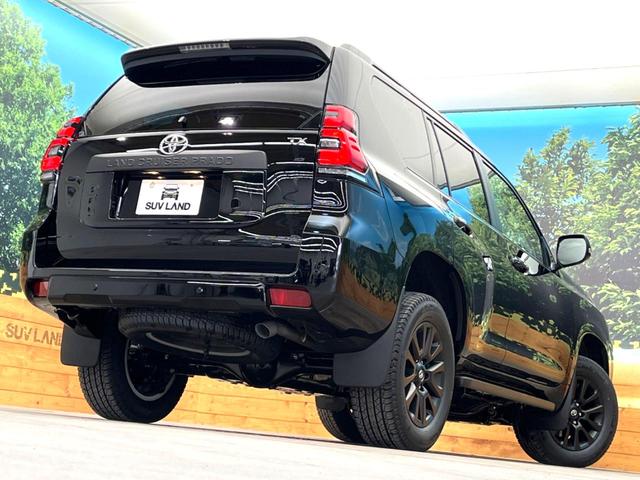 TX Lパッケージ マットブラックエディション 7人乗り 登録済未使用車 サンルーフ 特別仕様車 ブラックルーフレール 専用マットブラック塗装18AW セーフティセンス レーダークルーズ パーキングサポートブレーキ レーンキープ 現行型(30枚目)