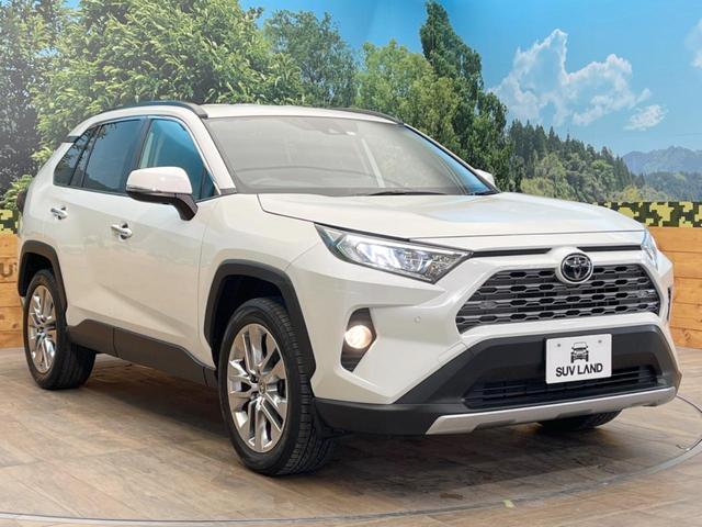 G Zパッケージ 禁煙車 純正9型ナビ Bluetooth接続 バックカメラ 電動バックドア 衝突軽減装置 レーダークルーズ 誤発進抑制装置 コーナーセンサー 純正19AW レーンアシスト シートヒーター ETC(17枚目)