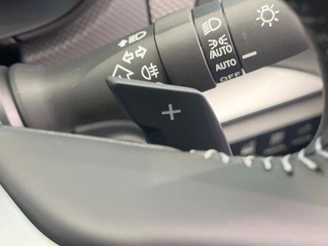 フォレスター アドバンス　登録済未使用車　アイサイトセイフティプラス　レーダークルーズ　デジタルインナーミラー　シートヒーター　パワーシート　ハーフレザーシート　ＬＥＤヘッド　パワーバックドア　ブラインドスポットモニター（63枚目）
