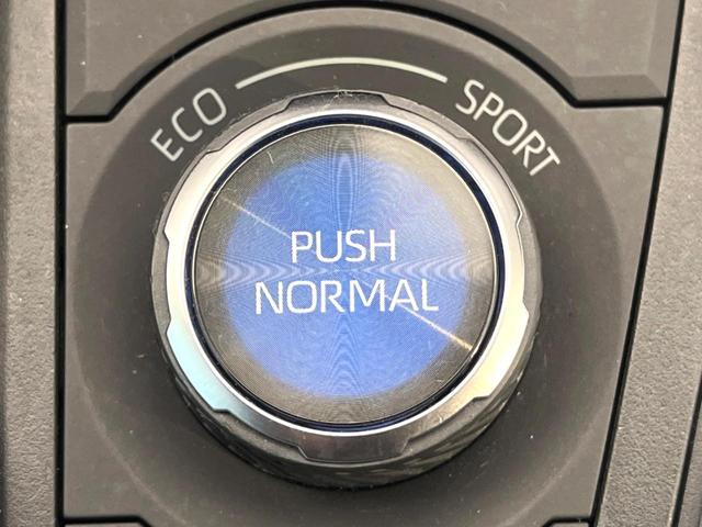 ＲＡＶ４ ハイブリッドＧ　禁煙車　４ＷＤ　ナビゲーション　レーダークルーズ　バックカメラ　ブラインドスポットモニター　電動リアゲート　シートヒーター　衝突被害軽減システム　ステアリングヒーター　ＬＥＤヘッド　ドラレコ　ＥＴＣ（63枚目）