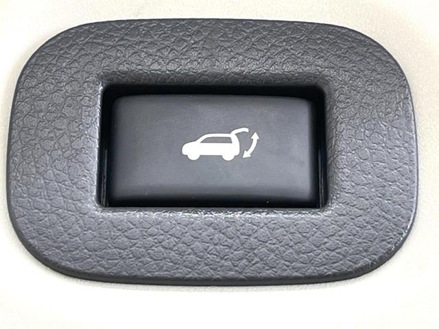 エクストレイル ２０Ｘ　ハイブリッド　エマージェンシーブレーキＰ　禁煙車　純正ナビ　バックカメラ　４ＷＤ　パワーバックドア　シートヒーター　ＬＥＤヘッド　ＥＴＣ　ドラレコ　スマートキー　オートライト　オートエアコン　横滑り防止　純正１７インチアルミ（49枚目）