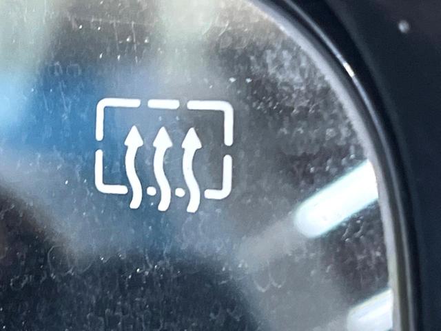 エクストレイル ２０Ｘｔｔ　エマージェンシーブレーキパッケージ　ＳＤナビ　全周囲カメラ　衝突被害軽減システム　電動リアゲート　コーナーセンサー　スマートキー　ＬＥＤヘッド　ルーフレール　ビルトインＥＴＣ　クルコン　車線逸脱警報　オートライト　デュアルエアコン（30枚目）