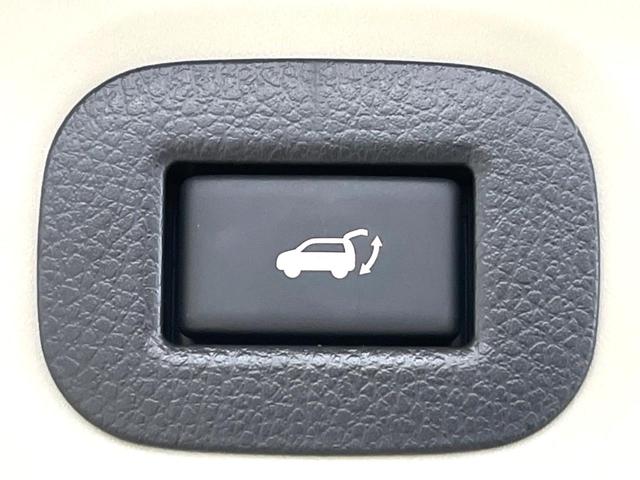 エクストレイル ２０Ｘｔｔ　エマージェンシーブレーキパッケージ　ＳＤナビ　全周囲カメラ　衝突被害軽減システム　電動リアゲート　コーナーセンサー　スマートキー　ＬＥＤヘッド　ルーフレール　ビルトインＥＴＣ　クルコン　車線逸脱警報　オートライト　デュアルエアコン（53枚目）