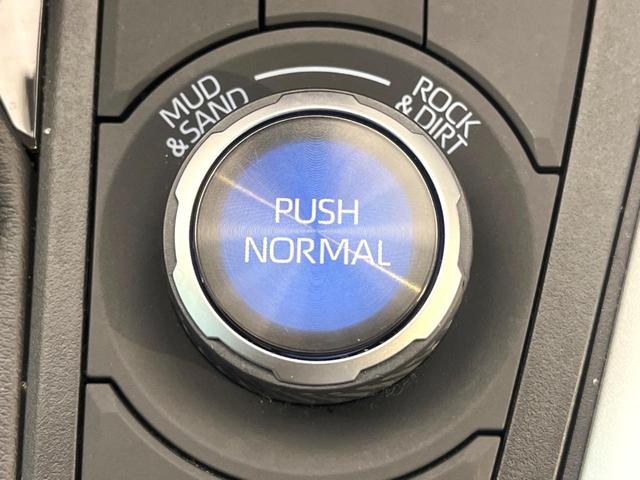 RAV4 アドベンチャー メーカー純正10.5インチナビ 4WD 全周囲カメラ プリクラッシュセーフティ レーダークルーズ ブラインドスポットモニター デジタルインナーミラー LEDヘッド 純正19インチアルミ(45枚目)