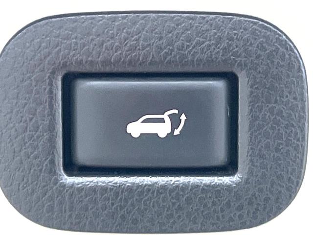 エクストレイル ２０Ｘｔ　エマージェンシーブレーキパッケージ　メーカー純正ナビ　全周囲カメラ　インテリジェントエマージェンシーブレーキ　パワーバックドア　シートヒーター　ヒーテッドドアミラー　ＬＥＤヘッド　ＥＴＣ　スマートキー　純正１７インチアルミ（6枚目）