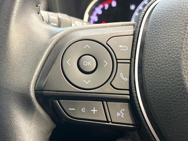 ＲＡＶ４ アドベンチャー　４ＷＤ　サイド・バックカメラ　衝突被害軽減システム　レーダークルーズ　禁煙車　パワーシート　ドラレコ　スマートキー　ＬＥＤヘッド　ビルトインＥＴＣ　純正１９インチアルミ　オートハイビーム（30枚目）