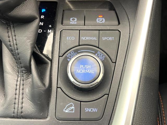 ＲＡＶ４ アドベンチャー　４ＷＤ　サイド・バックカメラ　衝突被害軽減システム　レーダークルーズ　禁煙車　パワーシート　ドラレコ　スマートキー　ＬＥＤヘッド　ビルトインＥＴＣ　純正１９インチアルミ　オートハイビーム（40枚目）