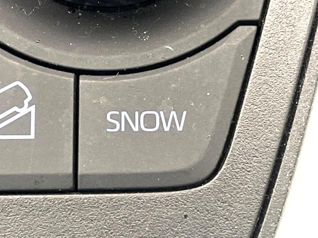 ＲＡＶ４ アドベンチャー　４ＷＤ　サイド・バックカメラ　衝突被害軽減システム　レーダークルーズ　禁煙車　パワーシート　ドラレコ　スマートキー　ＬＥＤヘッド　ビルトインＥＴＣ　純正１９インチアルミ　オートハイビーム（42枚目）