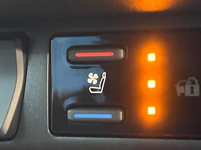 RAV4 アドベンチャー オフロードパッケージII 禁煙車 4WD 純正10.5インチディスプレイオーディオ バックカメラ レーダークルーズ プリクラッシュセーフティ コーナーセンサー ハーフレザーシート 前席シートエアコン ETC2.0 パワーシート(34枚目)