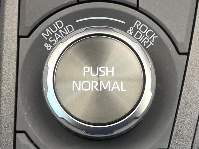 RAV4 アドベンチャー オフロードパッケージII 禁煙車 4WD 純正10.5インチディスプレイオーディオ バックカメラ レーダークルーズ プリクラッシュセーフティ コーナーセンサー ハーフレザーシート 前席シートエアコン ETC2.0 パワーシート(46枚目)