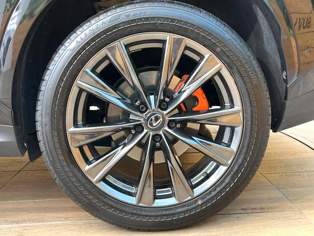 NX NX350h Fスポーツ 14インチディスプレイオーディオ レクサスセーフティシステム 全周囲カメラ ブラインドスポットモニター 衝突被害軽減システム レーダークルーズ 禁煙車 電動リアゲート レザーシート 前席シートエアコン(46枚目)