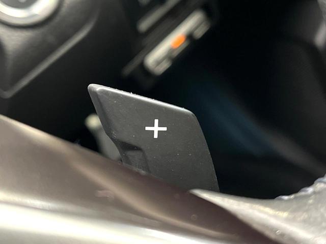 レガシィアウトバック ２．５ｉアイサイト　４ＷＤ　純正ＳＤナビ　バックカメラ　衝突被害軽減システム　レーダークルーズ　ドラレコ　スマートキー　ＨＩＤヘッド　ビルトインＥＴＣ　純正１７インチアルミ　車線逸脱警報　オートライト　デュアルエアコン（53枚目）