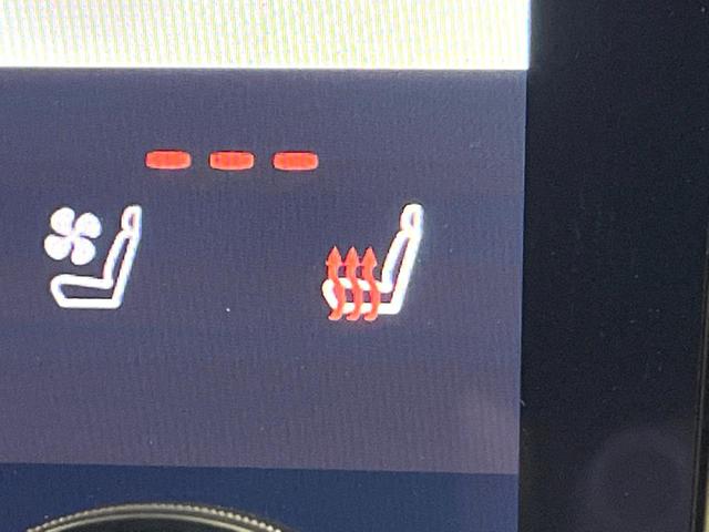 アルファードハイブリッド Ｚ　禁煙車　ガラスルーフ　後席モニター　全周囲カメラ　衝突被害軽減システム　レーダークルーズ　電動リアゲート　レザーシート　前席シートエアコン　前後席パワーシート　コーナーセンサー　スマートキー（38枚目）