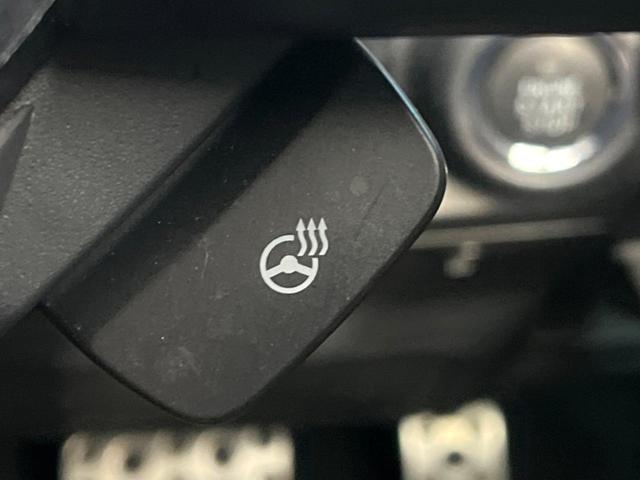 フォレスター アドバンス　純正ナビ　サイド・バックカメラ　アイサイト　レーダークルーズ　電動リアゲート　レザーシート　全席シートヒーター　ドラレコ　コーナーセンサー　スマートキー　ＬＥＤヘッド　ビルトインＥＴＣ（47枚目）