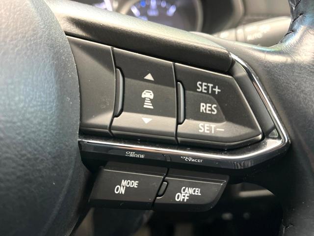 �y�}�c�_�E���[�_�[�N���[�Y�R���g���[���z�������H�ł̒��������s���y�ɁI�����ő��x��ۂN���[�Y�R���g���[�����A�Փˌy���V�X�e���ƘA�g���A�O���̎ԗ������m���ĎԊԂ�ۂ悤�ɑ��x���߂��Ă���܂��I�I