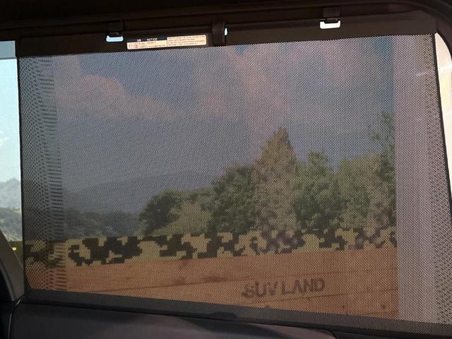 ヴォクシー Ｓ－Ｚ　セーフティセンス　レーダークルーズ　両側電動ドア　純正１０．５型ナビ　バックカメラ　ＥＴＣ　ＨＤＭＩ入力　ＣＤ／ＤＶＤデッキ　シートヒーター　ハーフレザーシート　リアオートエアコン　純正１７インチＡＷ（31枚目）