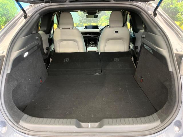 ���i�̂���������ʋ΁A���}���ɏ\���ȉ׎��X�y�[�X���m�ۂ��Ă���܂��B�Z�J���h�V�[�g��|���ƁA�傫�ȉו��̐ύڂ��\�ł���