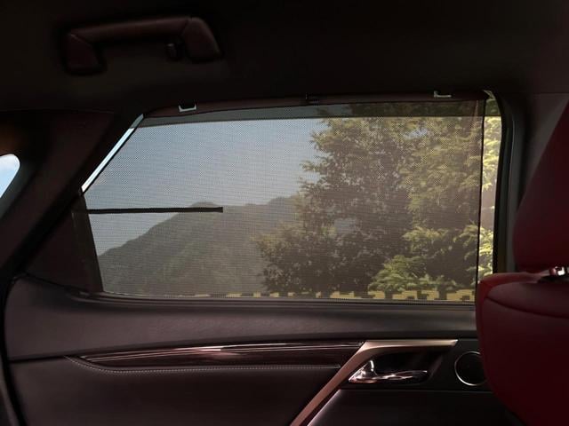 ＲＸ ＲＸ４５０ｈ　Ｆスポーツ　禁煙車　サンルーフ　１２．３インチナビ　マークレビンソンサウンドシステム　ブラインドスポットモニター　電動リアゲート　シートヒーター　全周囲カメラ　純正２０インチアルミ　ＬＥＤヘッド　ＥＴＣ（42枚目）