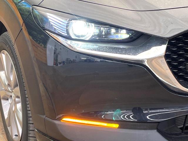 �y�k�d�c�w�b�h���C�g�z���V����ԑ��s�����ǍD�Ȏ��E���m�ۂ����S���ĉ^�]�ł��鍂�P�x�k�d�c�w�b�h���C�g�𑕔��I�_�����x�������A����d�͂��}�����Ă��܂��B