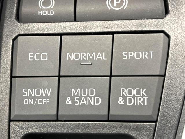 ＲＡＶ４ Ｇ　純正９インチナビ　禁煙車　４ＷＤ　パワーバックドア　シートヒーター　ＥＴＣ　ステアリングヒーター　ブラインドスポットモニター　セーフティセンス　ＬＥＤヘッド＆フォグ（65枚目）