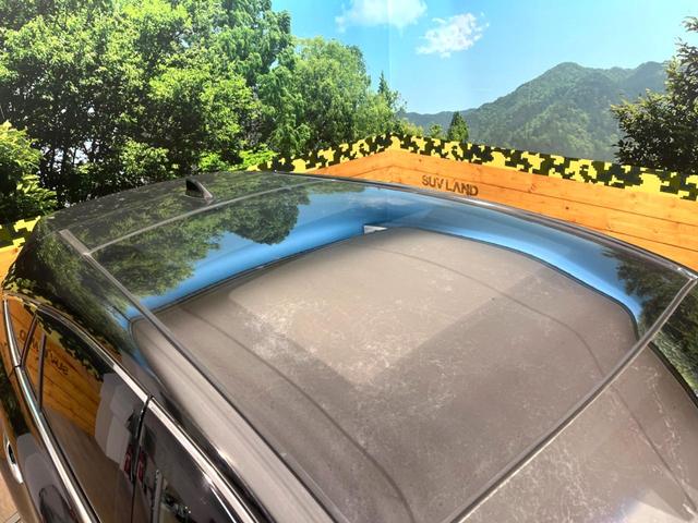 ハリアー Ｚ　レザーパッケージ　ガラスルーフ　後席モニター　全周囲カメラ　ＪＢＬサウンド　衝突被害軽減システム　レーダークルーズ　電動リアゲート　レザーシート　前席シートエアコン　コーナーセンサー　スマートキー　ＬＥＤヘッド（43枚目）