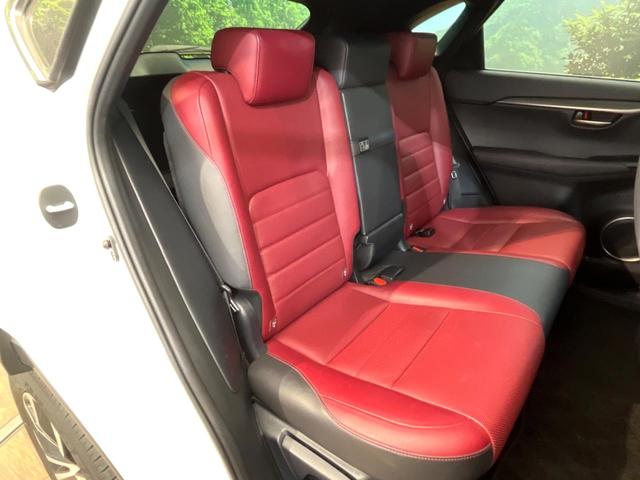 �㕔���Ȃ��C�ɂȂ�悤�ȃL�Y�E�����ւ��蓙�A�傫�ȃ_���[�W�͂Ȃ��A�ǍD�ȏ�Ԃł��B