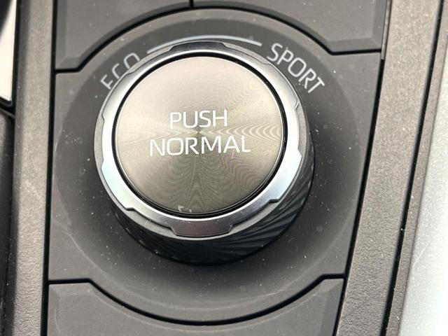 RAV4 PHV Z 禁煙車 4WD 全周囲カメラ 衝突被害軽減システム レーダークルーズ 電動リアゲート 前席シートエアコン ドラレコ コーナーセンサー スマートキー LEDヘッド ETC2.0 純正18インチアルミ(65枚目)