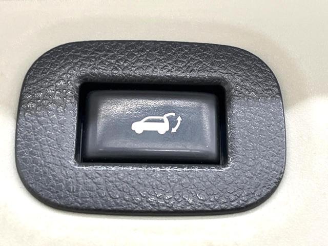 エクストレイル ２０Ｘ　純正ＳＤナビ　全周囲カメラ　衝突被害軽減システム　禁煙車　電動リアゲート　スマートキー　ＬＥＤヘッド　ビルトインＥＴＣ　純正１７インチアルミ　オートライト　デュアルエアコン　Ｂｌｕｅｔｏｏｔｈ　ＣＤ（34枚目）