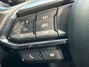 ２５Ｓ　メーカー純正７インチナビ　ＪＬ－ＡＵＤＩＯサウンド　バックカメラ　スマートシティブレーキサポート　クルーズコントロール　ブラインドスポットモニター　ＬＥＤヘッド　ＥＴＣ　純正１９インチアルミ（41枚目）