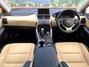 ����ͥ���6