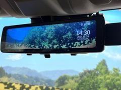 ڥǥ륤ʡߥ顼۸ʤ礭ʲʪƱԤǸǧŤ餤Ǥ¿餬Ƥξα롼ߥ顼ɽꥢʻ볦ǾγǧǽǤ 6