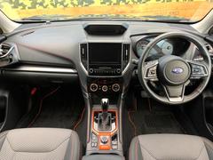 ���롼�����߸˿��󣳣����������桪������η���Ź����᡼�������ּ���鷺���Ҳ�����Τǡ����ʤ��˥ԥå���Τ��֤����Ĥ���Ϥ��Ǥ����ޤ��Ϥ��䤤��碌�������� 2