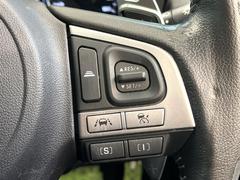 ������®�ɽ���ǽ�ե��롼������ȥ�����۹�®ƻϩ�Ǥ�Ĺ��Υ���Ԥ��ڤˡ�����ư��®�٤��ݤĥ��롼������ȥ����뤬�����ͷڸ������ƥ��Ϣ�Ȥ��������μ�ξ���Τ��Ƽִ֤��ݤĤ褦��®��Ĵ�ᤷ�Ƥ���ޤ����� 5