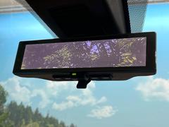 �ڥ���ƥꥸ����ȥ롼��ߥ顼�۸��ʤ��礭�ʲ�ʪ��Ʊ��ԤǸ�������ǧ���Ť餤���Ǥ�¿�������餬���Ƥ�����ξ�����α�����롼��ߥ顼���ɽ�������ꥢ�ʻ볦�Ǿ����γ�ǧ����ǽ�Ǥ��� 5