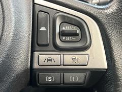 ������®�ɽ���ǽ�ե��롼������ȥ�����۹�®ƻϩ�Ǥ�Ĺ��Υ���Ԥ��ڤˡ�����ư��®�٤��ݤĥ��롼������ȥ����뤬�����ͷڸ������ƥ��Ϣ�Ȥ��������μ�ξ���Τ��Ƽִ֤��ݤĤ褦��®��Ĵ�ᤷ�Ƥ���ޤ����� 5